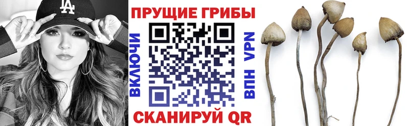 Псилоцибиновые грибы прущие грибы  купить  цена  Кадников 