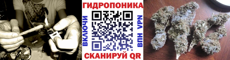 Каннабис THC 21%  Кадников 